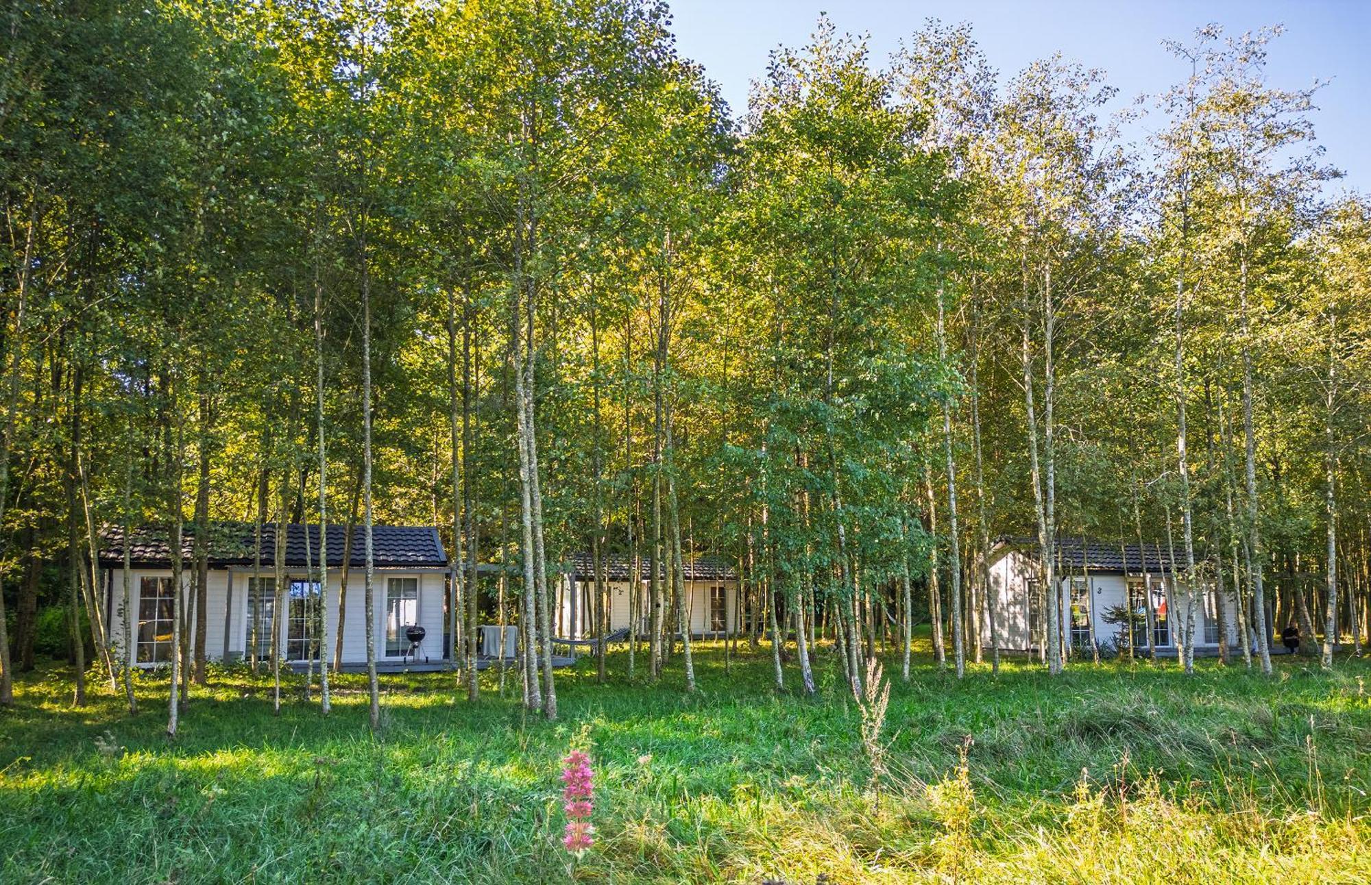Domki Drewniane Na Splawiu Nad Morzem Ujście-Darłowskie Exterior foto